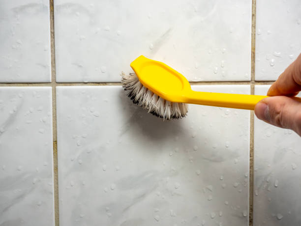 Best Mold Remediation  in Blackville, SC