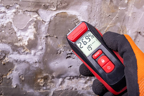 Best Commercial Mold Removal  in Blackville, SC