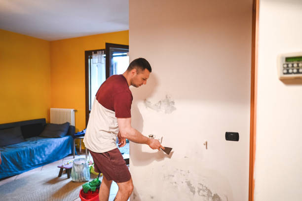 Best Black Mold Removal  in Blackville, SC